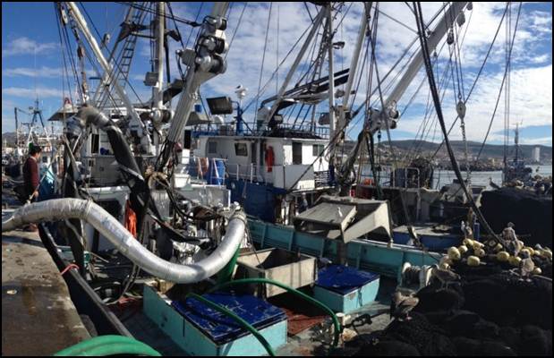 Fishing Boat